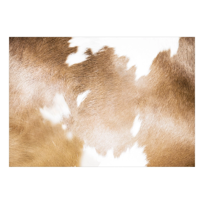 Fototapeta - krowa zwierzęta krowie łaty